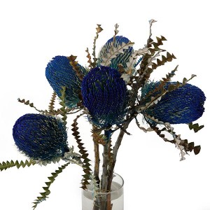 Banksia Dyed