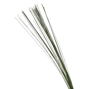 Flexi Grass