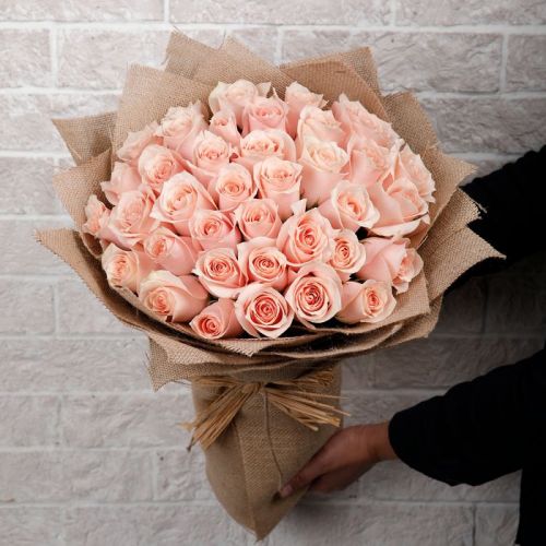 Peach Perfect Roses