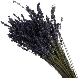 Lavendula Dry