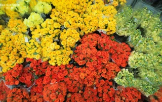 How to Choose the Right Flowers for Event Decorations